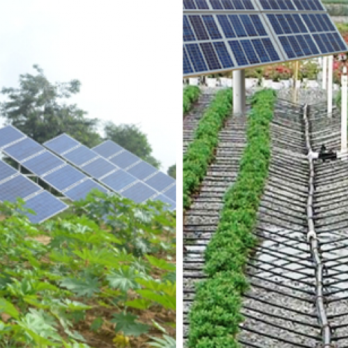 Bơm nước điện mặt trời